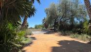 Resale - Finca - Dolores - Comunidad Valenciana