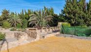 Resale - Finca - Los Montesinos - Costa Blanca