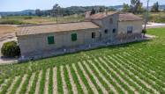 Resale - Finca - Orihuela - Desamparados-hurchillo-torremendo