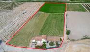 Resale - Finca - Orihuela - Desamparados-hurchillo-torremendo