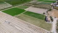Resale - Finca - Orihuela - Desamparados-hurchillo-torremendo