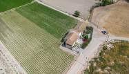 Resale - Finca - Orihuela - Desamparados-hurchillo-torremendo