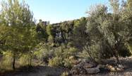 Resale - Finca - Torremanzanas - Costa Blanca