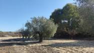 Resale - Finca - Torremendo