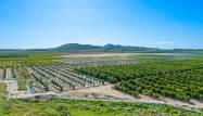 Resale - Lägenhet - Algorfa - Inland
