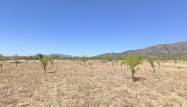 Resale - Land - Monóvar/Monóver - Inland