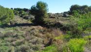 Resale - Land - Pinar de Campoverde - Inland