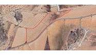 Resale - Land - Pinoso - Inland