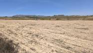 Resale - Land - Pinoso - Inland
