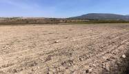 Resale - Land - Pinoso - Inland