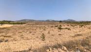 Resale - Land - Pinoso - Inland