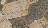 Resale - Land - Pinoso - Inland