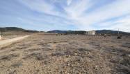 Resale - Land - Pinoso - Inland