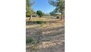 Resale - Land - Pinoso - Inland