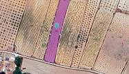 Resale - Land - Pinoso - Inland