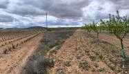 Resale - Land - Pinoso - Inland