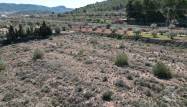 Resale - Land - Pinoso - Inland