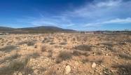 Resale - Land - Pinoso - Inland