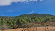 Resale - Land - Pinoso - Inland