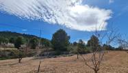 Resale - Land - Pinoso - Inland