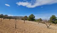 Resale - Land - Pinoso - Inland