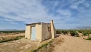 Resale - Land - Pinoso - Inland