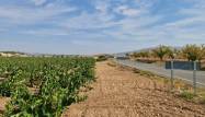 Resale - Land - Pinoso - Inland