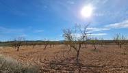 Resale - Land - Pinoso - Inland