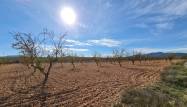 Resale - Land - Pinoso - Inland