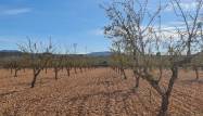 Resale - Land - Pinoso - Inland