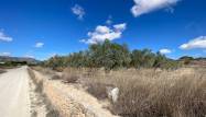Resale - Land - Pinoso - Inland