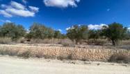Resale - Land - Pinoso - Inland