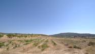 Resale - Land - Pinoso - Inland