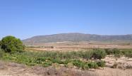 Resale - Land - Pinoso - Inland