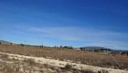 Resale - Land - Pinoso - Inland
