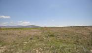 Resale - Land - Pinoso - Inland