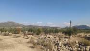 Resale - Land - Salinas - Inland