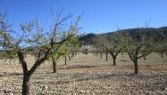 Resale - Land - Villena - Inland