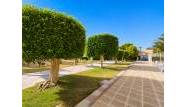 Resale - Penthouse - La Zenia - Costa Blanca