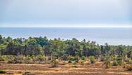Resale - Penthouse - Punta Prima - Costa Blanca