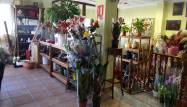 Resale - Town House - Pinoso - Inland