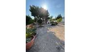Resale - Villa - Albatera - Partida Lomas