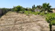 Resale - Villa - Daya Nueva - Costa Blanca