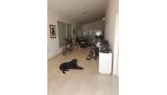 Resale - Villa - Dolores - Comunidad Valenciana
