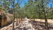 Resale - Villa - Elche - Costa Blanca