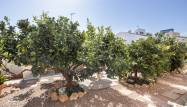 Resale - Villa - La Regia - Costa Blanca