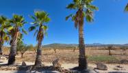 Resale - Villa - Pinoso - Inland