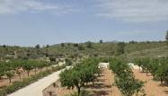Resale - Villa - Pinoso - Inland