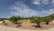 Resale - Villa - Pinoso - Inland