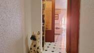 Resale - Wohnung - Torrevieja - Acequion